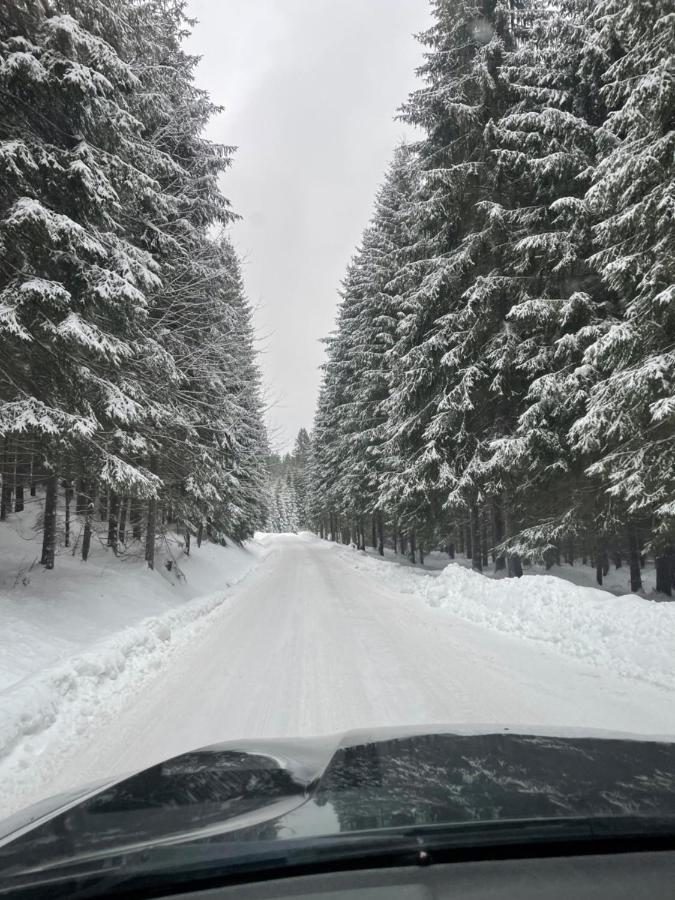 Chata Veverička Oravská Lesná Exteriér fotografie
