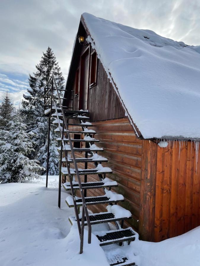 Chata Veverička Oravská Lesná Exteriér fotografie