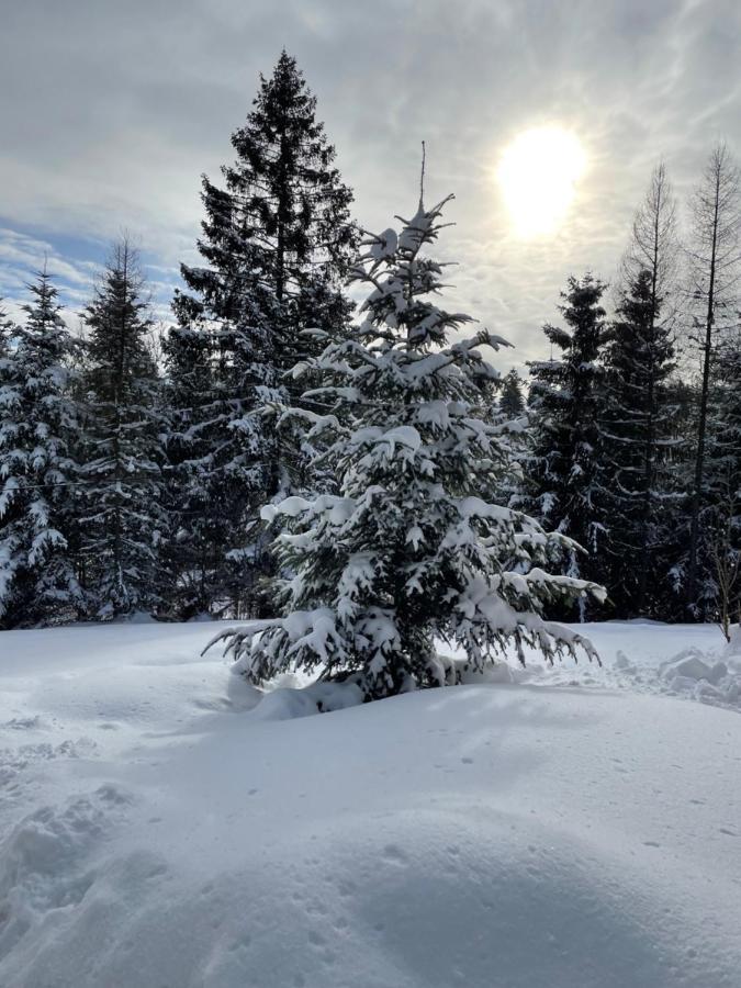 Chata Veverička Oravská Lesná Exteriér fotografie